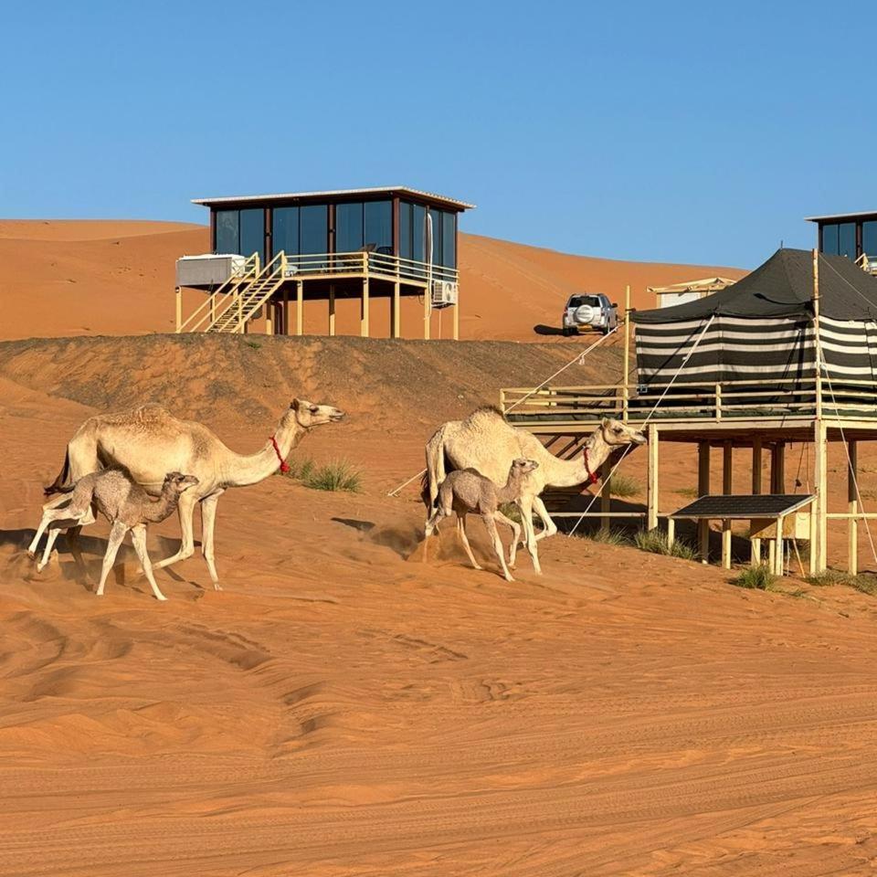 Oman Desert Private Camp Shāhiq Exterior foto
